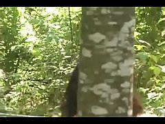 Порно видео толстых в лесу